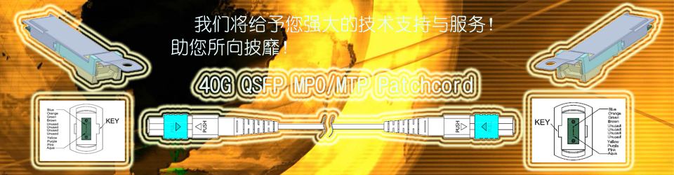 40/100 QSFP跳线